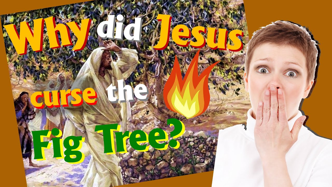 Why Did Jesus Curse Fig Tree Out Of Season