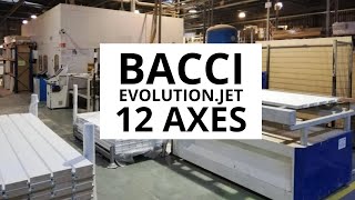 BACCI EVOLUTION.JET 12 AXES