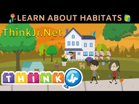 How do you teach a habitat to kindergarten?