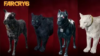 Todas las mascotas nuevas en Far Cry 6 | Oluso, Champagne, K- 9000, Boom Boom, chorizo