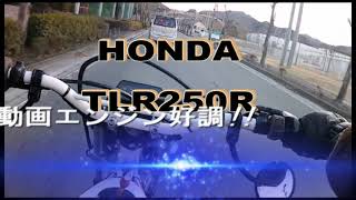 HONDA　TLR250R　走行動画