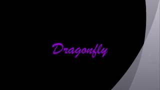 Dragonfly Movie Final