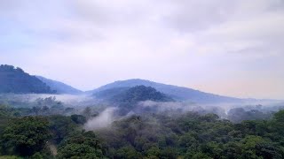 Exploring the beauty of papanasam(karaiyar) - Tirunelveli