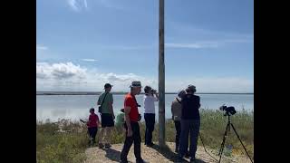 Birdwatching Matera e Puglia, Italy