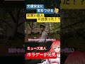 安全第一☆切り抜き vtuber ミュージアムライブ 配信 ホラゲー ホラゲー実況 ホラーゲーム実況　 ホラーゲーム配信　 ゲーム配信　 ゲーム実況　 パラソーシャル　 切り抜き