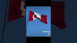 Canada Visa Whatsapp Status Video, Motivational, Dream Canada, Love Canada, Flag, Whatsapp Status