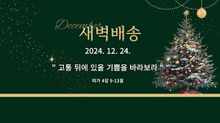 [더큰은혜교회]새벽배송 | 2024. 12. 24. (화) | 고통 뒤에 있을 기쁨을 바라보라