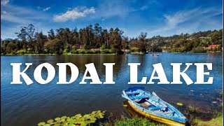 Kodaikanal Lake | Kodai Lake | Stay in Sterling Kodai Lake | கொடைக்கானல் #kodaikanallake #misty