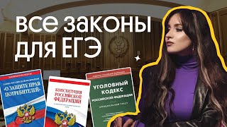 ВСЕ ЗАКОНЫ ДЛЯ ЕГЭ ПО ОБЩЕСТВОЗНАНИЮ ЗА ОДНО ЗАНЯТИЕ | ЕГЭ 2023