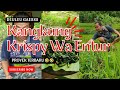 PROYEK BARU DI SAWAH WA ENTUR❗LORD PEDRO KEMBALI PANEN KANGKUNG DAN DIMASAK DENGAN CINTA DAN SAYANG