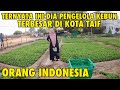 TKI SUKSES MENJADI PENGELOLA KEBUN TERBESAR DI KOTA TAIF TERNYATA ORANG INDONESIA | INI DIA