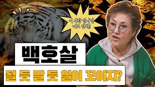 [백호살] 인생 도움 안되는 훼방 살!!피를 좋아하고,배우자를 망하게 하는 조상도 피해 간다는 액살 #장군보살 010.9048.6667