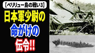 日本軍の逆上陸作戦と海中伝令 決死の60キロ【ペリリュー島の戦い3】 《日本の火力》