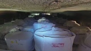 Kitty litter to blame for nuclear leak?
