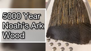 5000 Year Noah’s Ark Wood - Scientifically Tested and Verified  #shorts