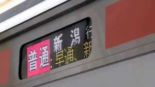 自動放送あり E129系展示会 新潟 白新線普通列車 新潟行き