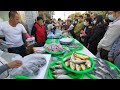 Taiwan Seafood Auction - This Guy Is Super Good At Selling Fish !