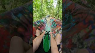 Riding Plasmacar Down Waterslide