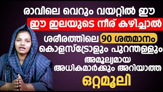 രാവിലെ വെറും വയറ്റിൽ ഈ ഇലയുടെ നീര് കഴിച്ചാൽ ശരീരത്തിലെ 90 ശതമാനം കൊളസ്ട്രോളും പുറന്തള്ളും