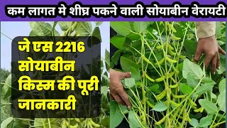 Js 2216 soybean | soybean ki new variety  | जे एस 2216 सोयाबीन किस्म  | 2024 new soybean variety