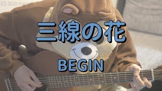 三線の花／BEGIN／ギターコード