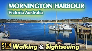 MORNINGTON PIER WALKING TOUR EXPLORING THE HARBOUR MORNINGTON PENINSULA MELBOURNE VICTORIA AUSTRALIA