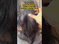 Lice treatment in Parlour/how to prevent ￼Lice/lice eggs removal service/lice Treatment Coimbatore