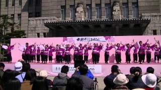 福井大学よっしゃこい2011　響宴　京都桜よさこい　京都市役所前会場