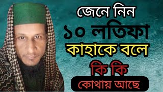 জেনে নিন ১০ লতিফা কাহাকে বলে কি কি।১০ লতিফা কোথায় থাকে। saiful duya Media