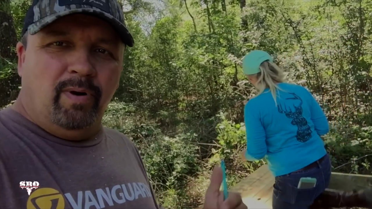 Trapping Wild Hogs Youtube