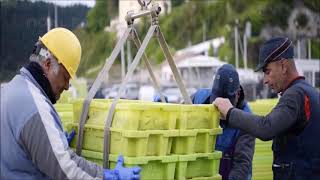 Anchovy Hunting by Ship - Catching Anchovy at Sea - Anchovy Factory