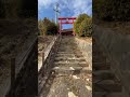 東広島市八本松町原の千野丸神社の参道⛩