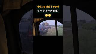 🚙 은근 신경 쓰이는 옆집. 나만 이래??🫣 #차박 #carcamping #노지캠핑 #solocamping