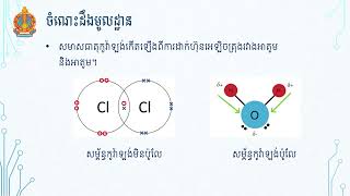 ទាញយកក្រាមសមាសធាតុអ៊ីយ៉ុង CuSO4ចេញពីសូលុយស្យុង CuSO4 ដោយវិធីរំហួត