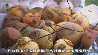 传闻接种疫苗前喝椰子水可避免发热 新鲜喝包装椰水销量大增