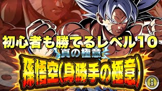 『ドッカンバトル　3047』9周年初心者でもワンチャン勝てる編成！レベル10攻略　極限Zバトル：真の極意「孫悟空（身勝手の極意）」　【Dragon Ball Z Dokkan Battle】