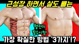 근성장 하면서 살 빼려면 유산소 보다 더 중요한 ‘3가지’는!? (지방감량 \u0026 근육량 증가 방법, 린매스업, 상승 다이어트)