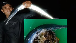 P1- Night Spear Fishing, Catch \u0026 Cook. Occi. Mindoro Country Side EP-95