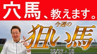 #朝日杯フューチュリティステークス #ターコイズステークス 含む 棟広良隆 45頭の狙い馬、穴馬を紹介！12/17(土)18(日)～激走レンジ！今週の注目馬 The Pickup！～