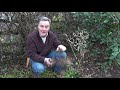 how to prune hydrangea a martin masterclass pots u0026 trowels