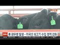 美 광우병 발생…미국산 쇠고기 수입 검역 강화 연합뉴스tv yonhapnewstv