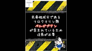 アロマテラピー検定試験ミカン科ベルガモット