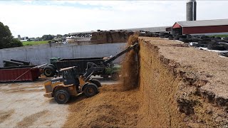 Raking and Defacing silage pile