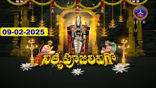 శ్రీవారి నిత్యపూజలివిగో || Srivari Nitya Poojalivigo || 09-02-2025 || SVBC TTD