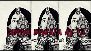 Janiya Bewafa Aien Tu  sad song by Naseebo Lal [Slowed + Reverb ]  Aesthetic Saad