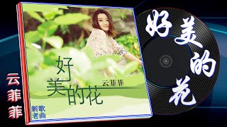 云菲菲《好美的花》发行时间：2022-05-07