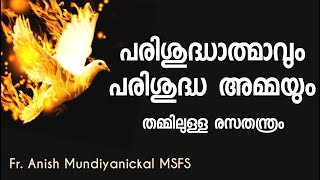 പരിശുദ്ധാത്മാവും പരിശുദ്ധ അമ്മയും തമ്മിലുള്ള രസതന്ത്രം | Fr. Anish Mundiyanickal MSFS