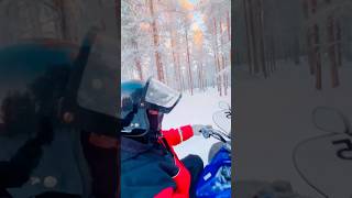 Snowmobile safari in Lapland #laplandfinland #shortswithcamilla #shorts  #HolidaysWithYouTube