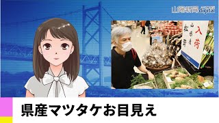 【９月２１日】県産マツタケお目見え　ＡＩアナＮＥＷＳ