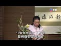 佛心花海_百卉爭新_李麗淑老師_ lifetv_20200304_11 00